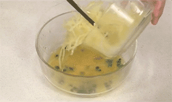 【土豆丝摊鸡蛋】土豆丝放入蛋液里