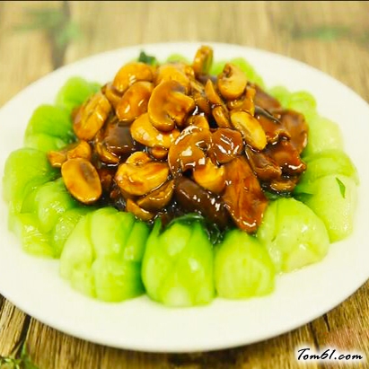 蚝油双菇的做法