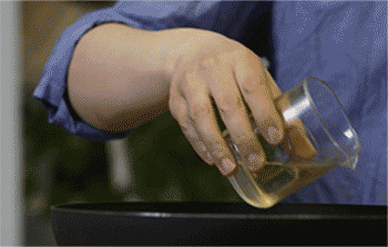 【酸汤肥牛】加料酒