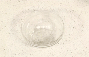 【盐水虾】取盐水