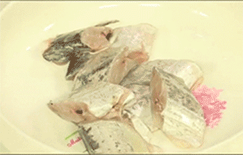 【糖醋带鱼】去腥