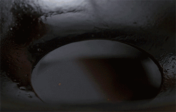 【脆姜鱼露炒猪肉】爆香