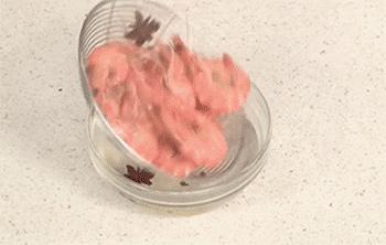 【盐水虾】降温