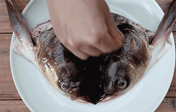 【黄焖鱼头】腌