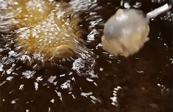 【萝卜丸子】炸