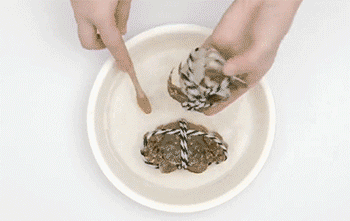 【清蒸大闸蟹】洗