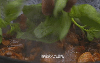 【三杯鸡】放九层塔