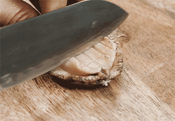 【三葱焗鲍鱼】切鲍鱼