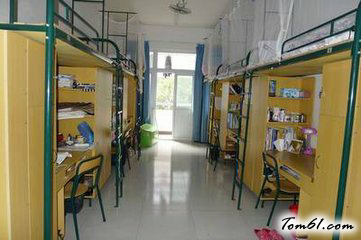 素鸡烧老鹅的做法