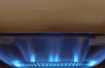 【鲫鱼汤】焖煮