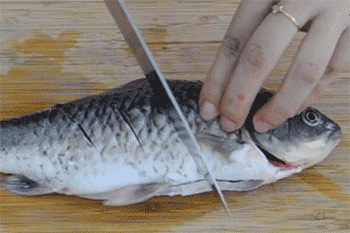 【鲫鱼豆腐汤】处理鱼