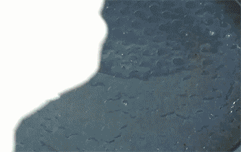 【鸡蛋灌饼】放饼