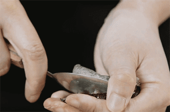 【三葱焗鲍鱼】挖出鲍鱼肉