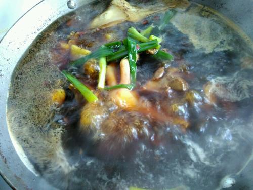 【素鸡烧老鹅】