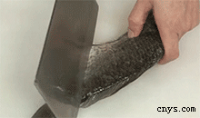 【红烧鲫鱼】处理鲫鱼方法