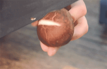 【香菇炖鸡】切香菇