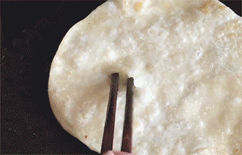 【鸡蛋灌饼】灌蛋液