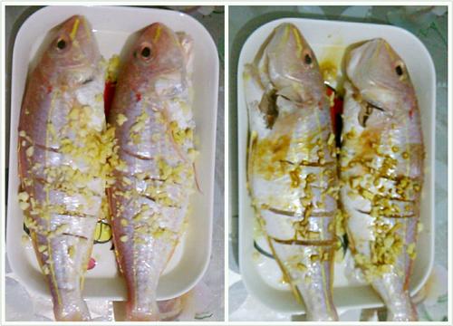 【香煎金线鱼】