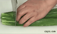 【韭菜炒鸡蛋】切韭菜