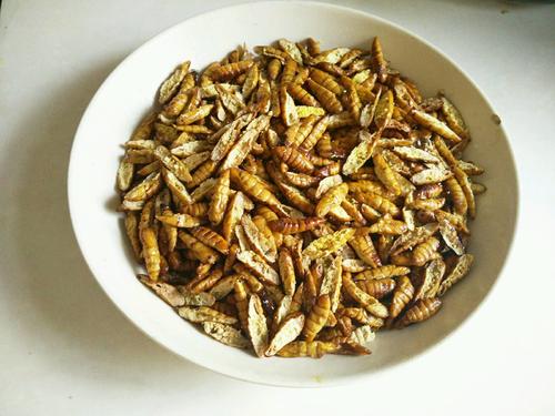 【香辣开边蚕蛹】