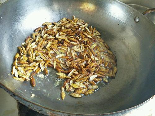 【香辣开边蚕蛹】