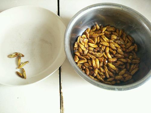 【香辣开边蚕蛹】