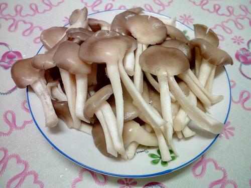 【小炒秀珍菇】