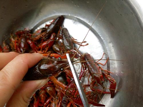 【吮指回味十三香啤酒小龙虾】