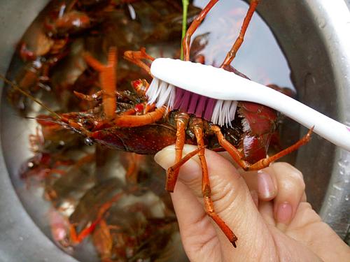 【吮指回味十三香啤酒小龙虾】