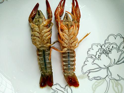 【酱爆小龙虾】