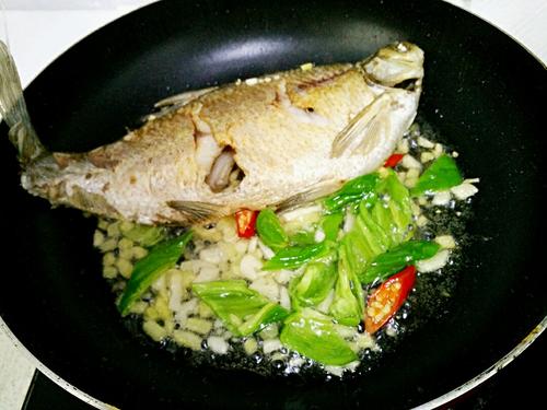 【红烧武昌鱼】
