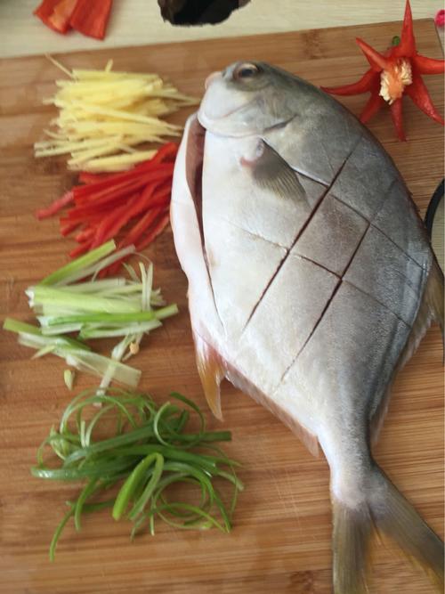 【红烧金枪鱼】