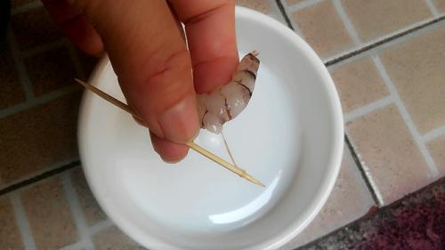 【西芹炒虾仁】