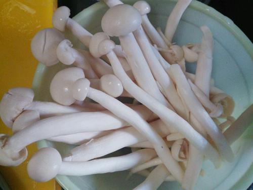 【海鲜菇炒鸡丝】