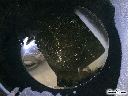 【青椒炒猪肝】