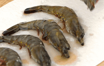 【红烧大虾】吸干水分