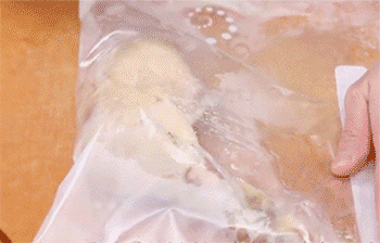 【棒棒鸡】敲拍