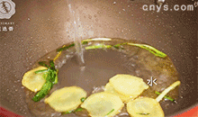 【白灼虾】加入水