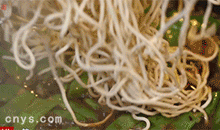 【豆角焖面】下切面