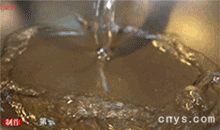 【莲藕炖排骨】炖排骨