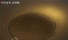 【豆角焖面】下锅