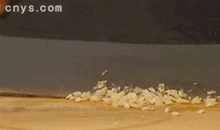 【凉拌胡萝卜丝】切断