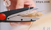 【白灼虾】剪掉虾饺、虾须