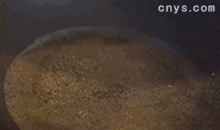 【湖南小炒肉】下油炒五花肉