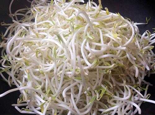 【爆炒酸辣绿豆芽】