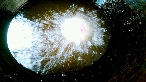 【肉丸子包白萝卜】