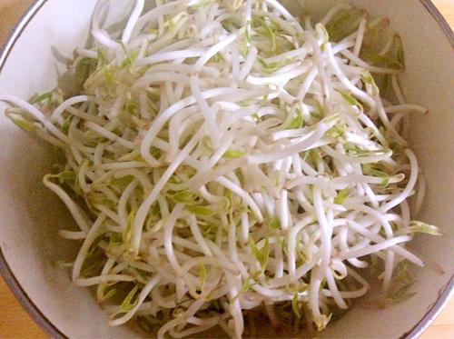 【爆炒酸辣绿豆芽】