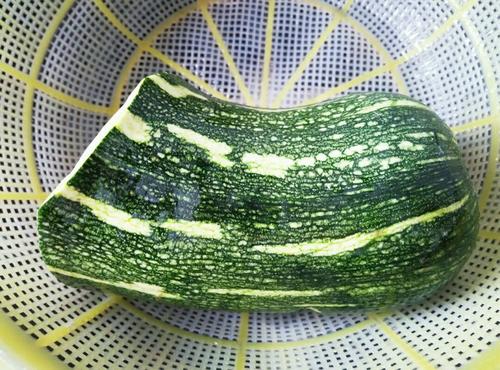 【剁椒炒嫩南瓜丝】