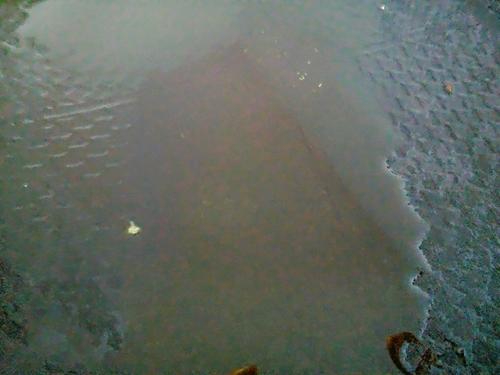 【干煎香辣鸡脖】