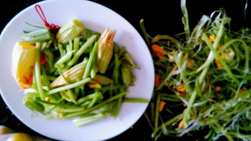 【爆炒南瓜花】